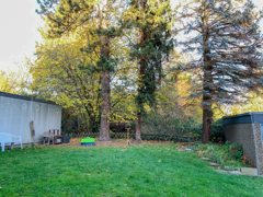 NEU zur Vermietung in Bochum Wiemelhausen - Garten - Reuter Immobilien – Immobilienmakler