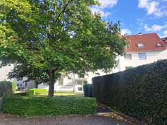 NEU zur Vermietung in Herne Eickel - Rückansicht - Reuter Immobilien – Immobilienmakler