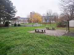 NEU zur Vermietung in Gelsenkirchen-Bulmke-Hüllen - Außenanlage - Reuter Immobilien – Immobilienmakler (2)