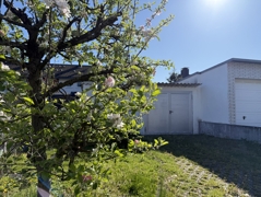Garage und Schuppen