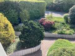 NEU zum Verkauf in Bochum Stiepel - Einfamilienhaus - Garten vorne - Reuter Immobilien – Immobilienmakler