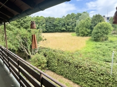 Ausblick