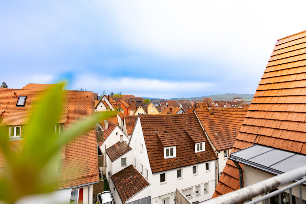 Blick über die Dächer der Stadt