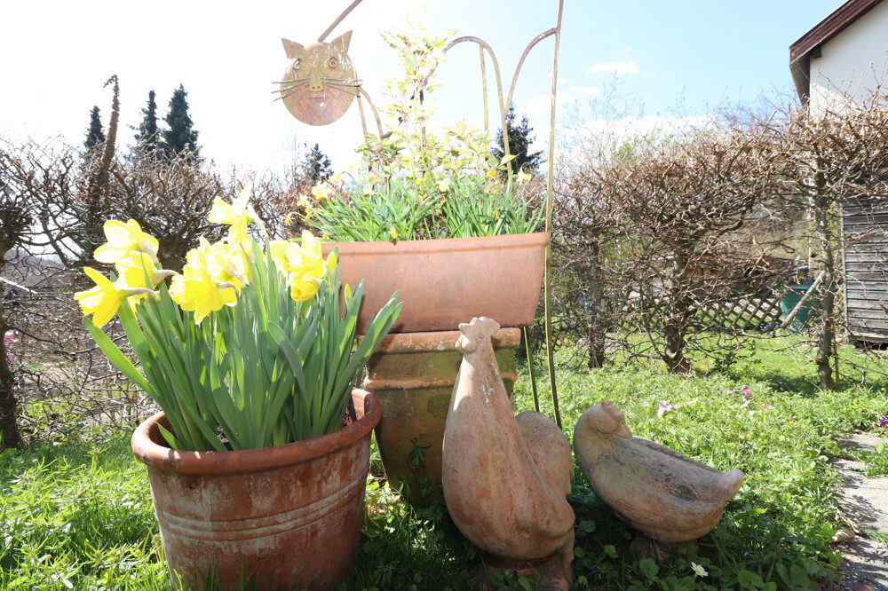 herrlich gepflegter Garten