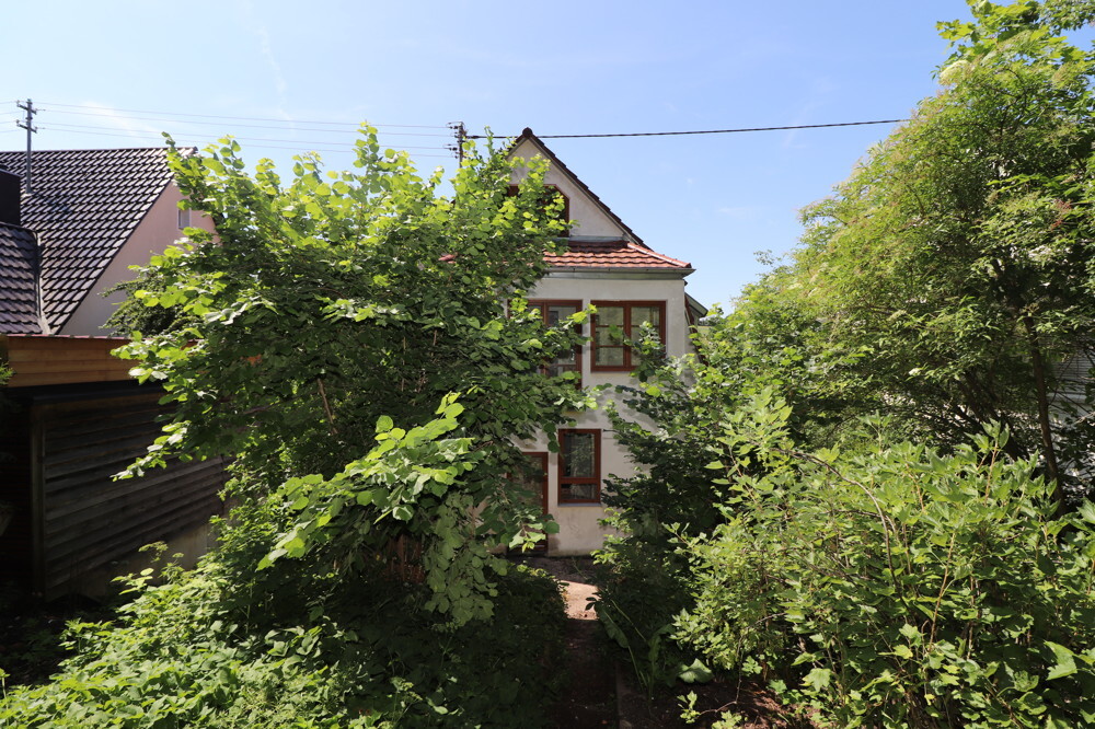 großes Gartengrundstück