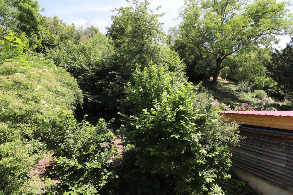 Gartengrundstück
