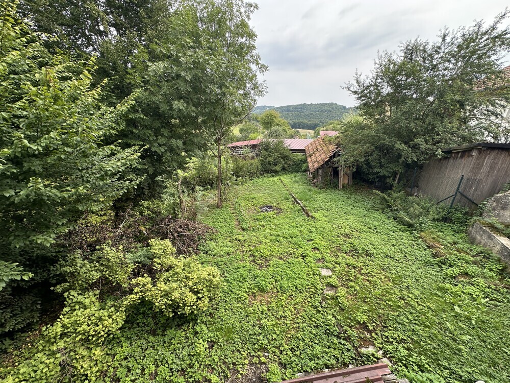 Blick in den Garten