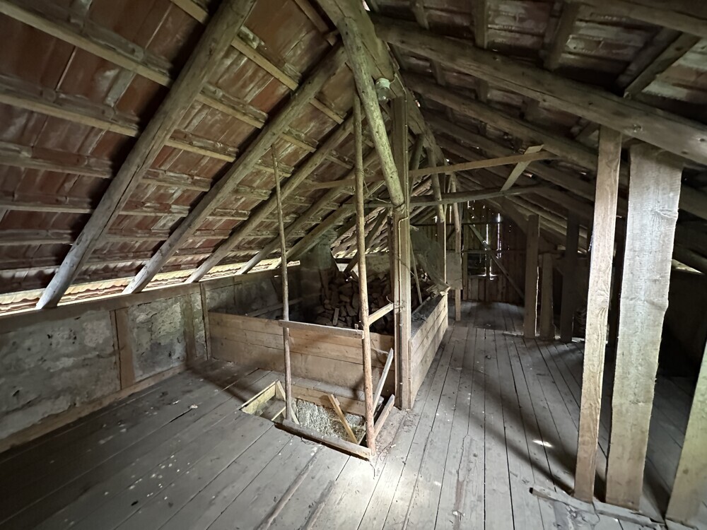 Dachspitz Schuppen