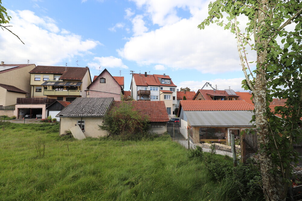Blick vom Garten zum Haus