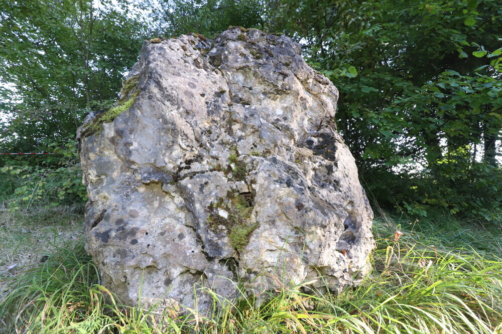 Naturidyll