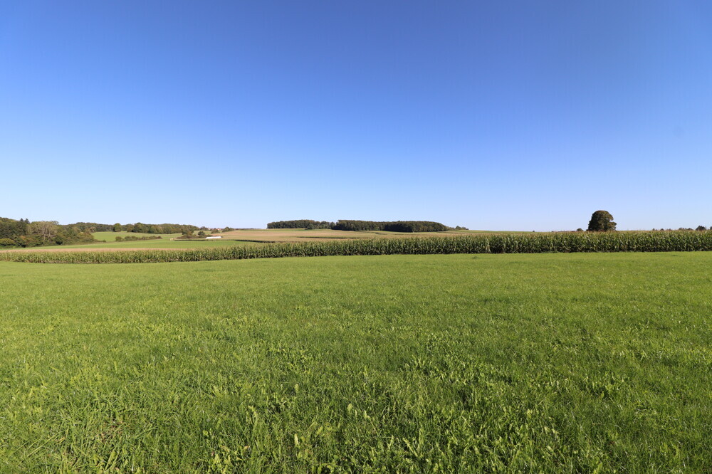 Nichts als Natur und Ruhe