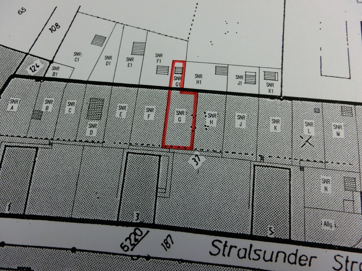 Garten_SNR