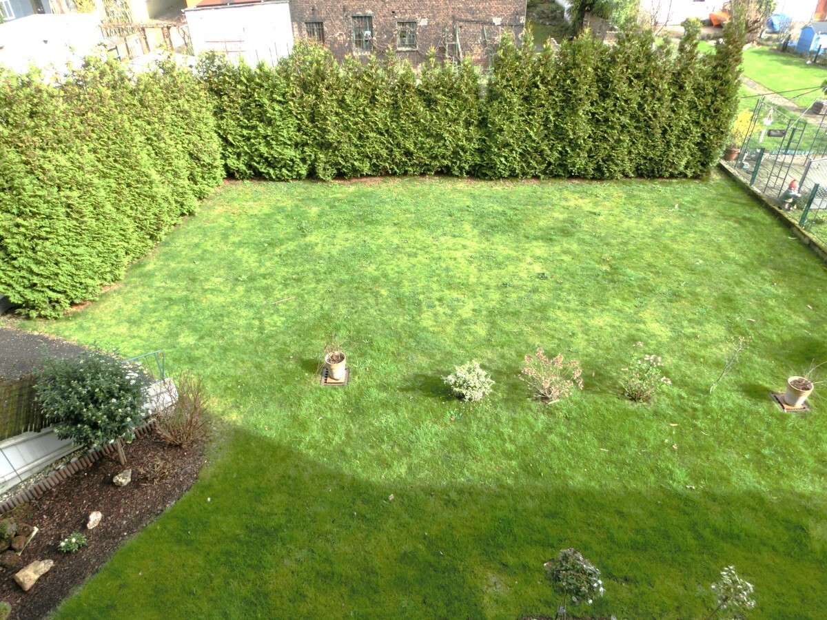 _Garten