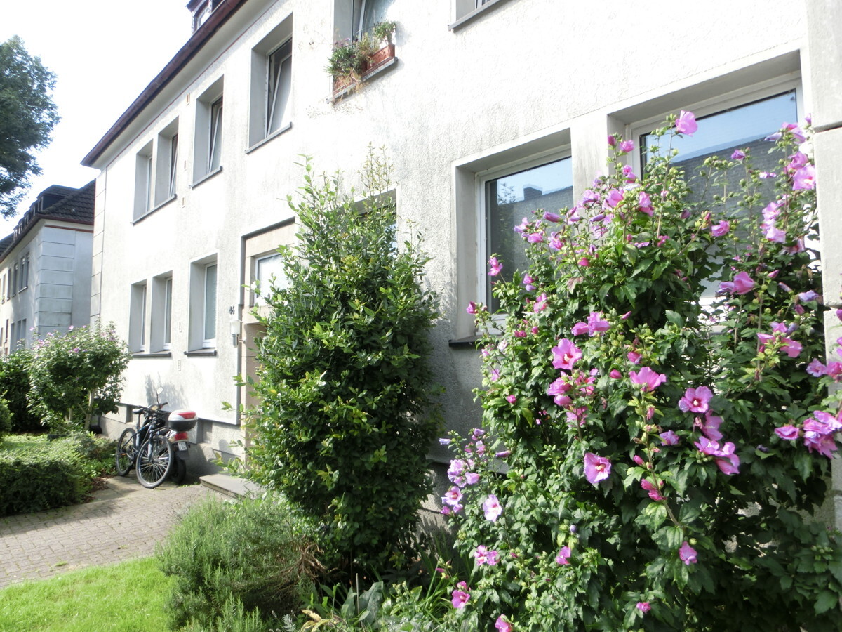 Ansicht