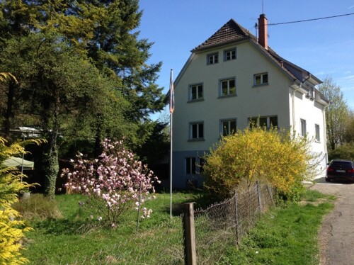 großes Grundstück mit altem Baumbestand