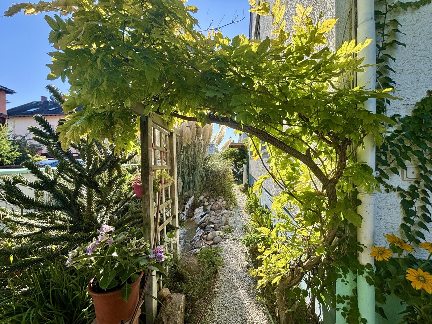 verwunschener Vorgarten