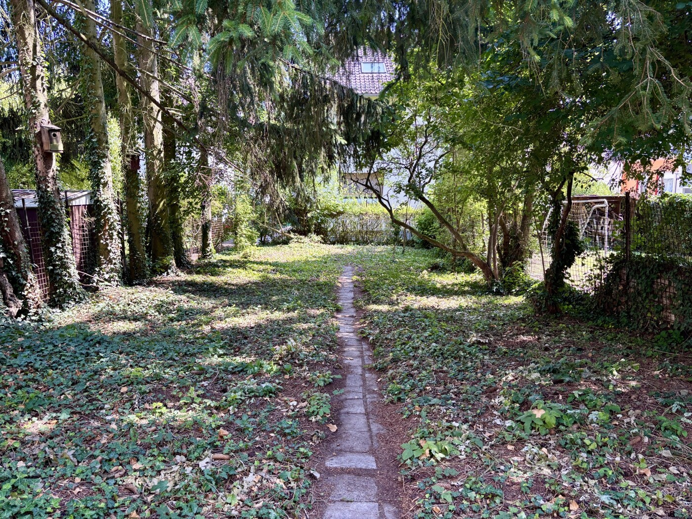 beschatteter Garten