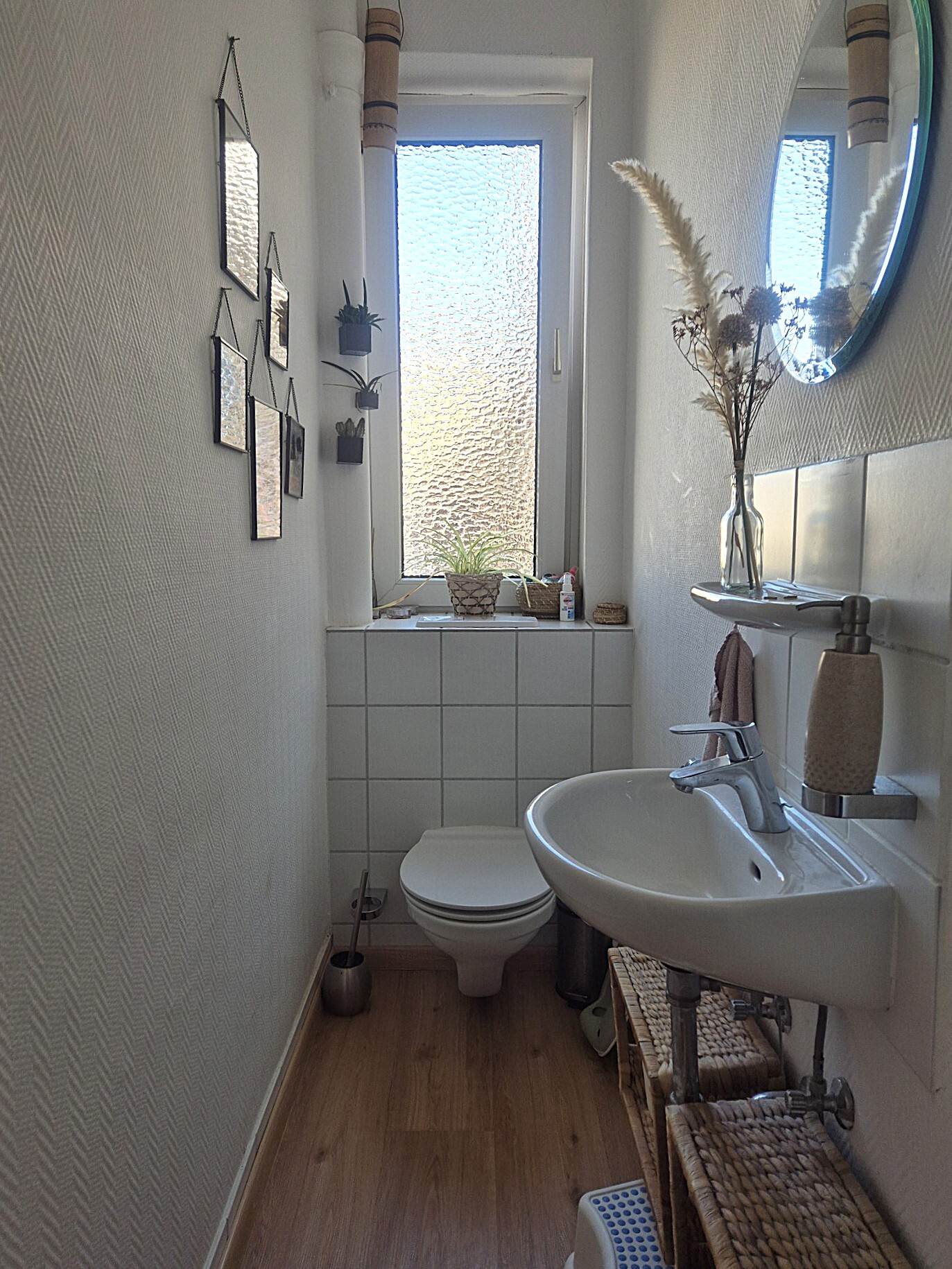 separates WC