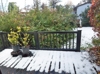 Terrasse Blick Garten