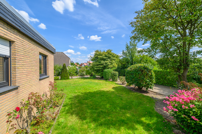 Blick in den Garten