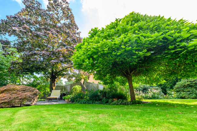 Sitzplatz im Garten