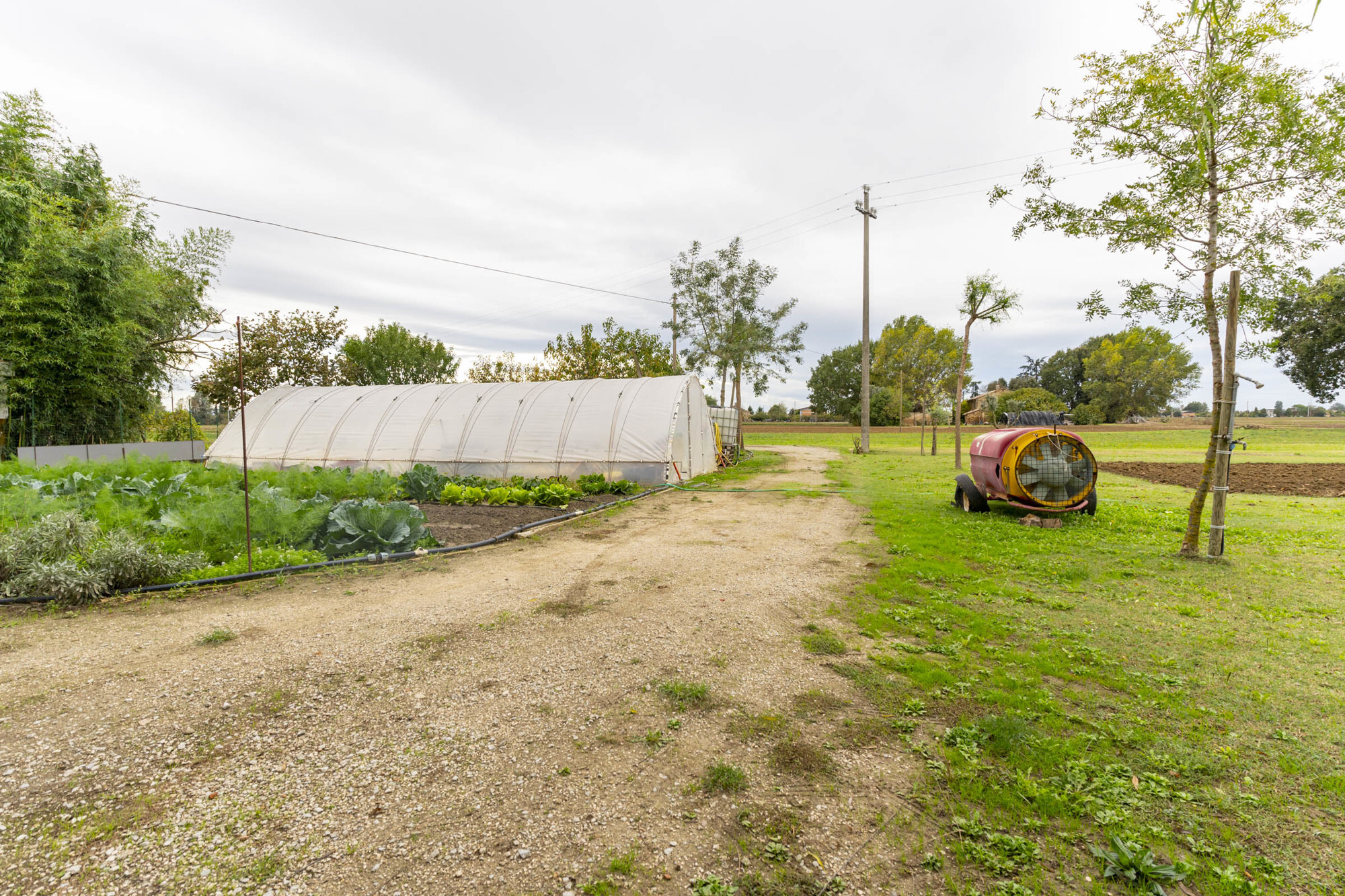 TERRENO