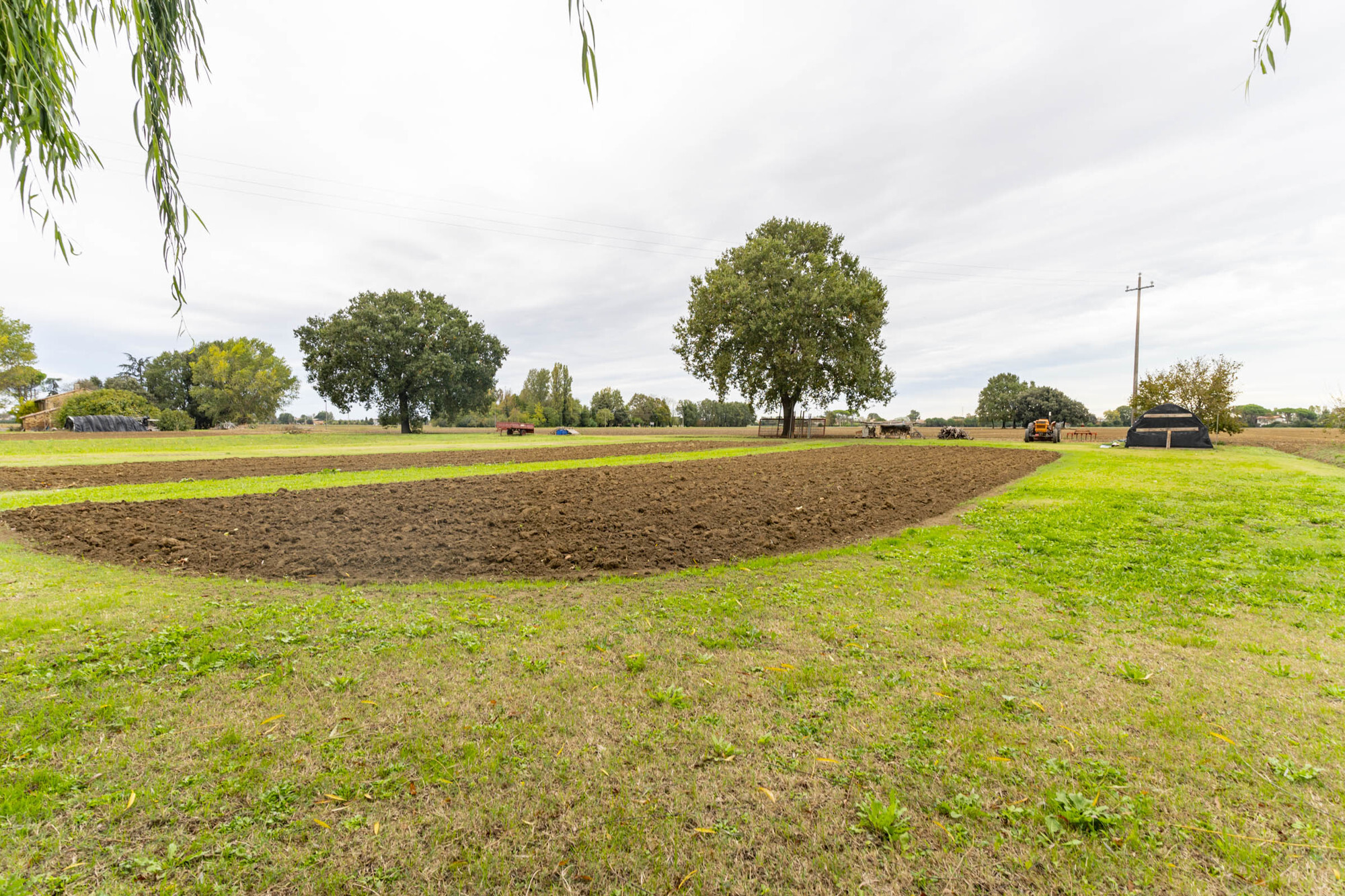 TERRENO