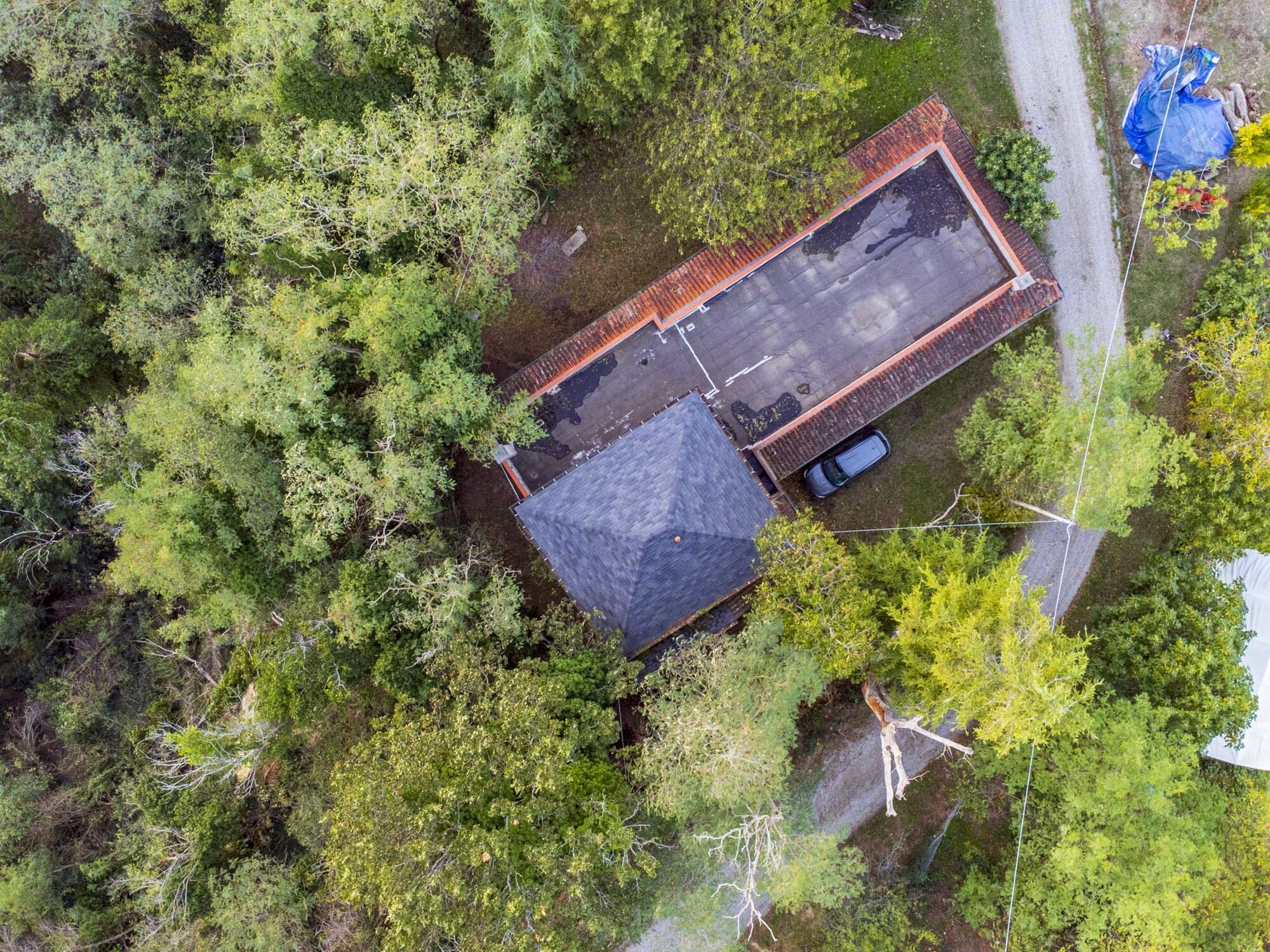 DJI_0399