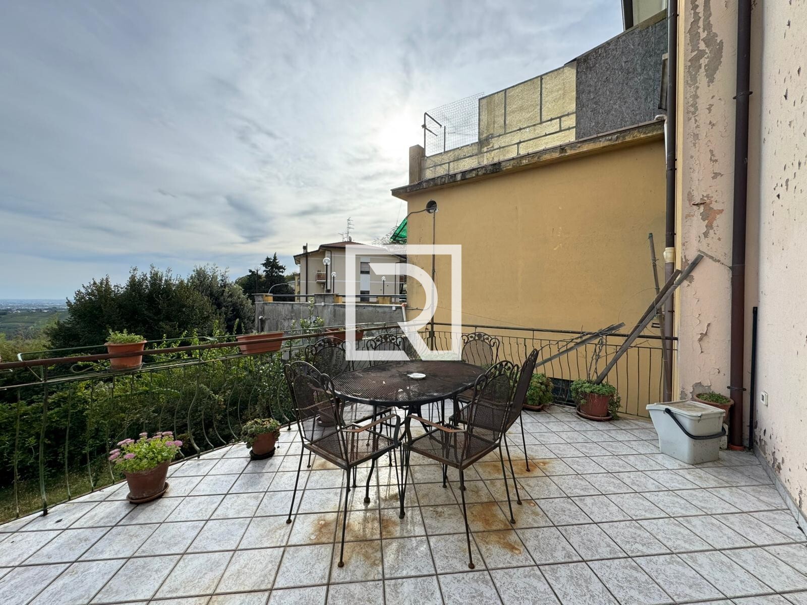 WhatsApp Image 2024-10-09 at 15.45.45