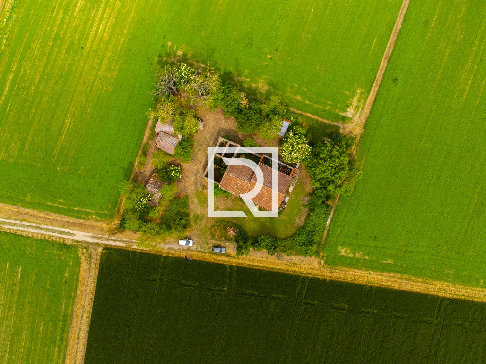 DJI_0703