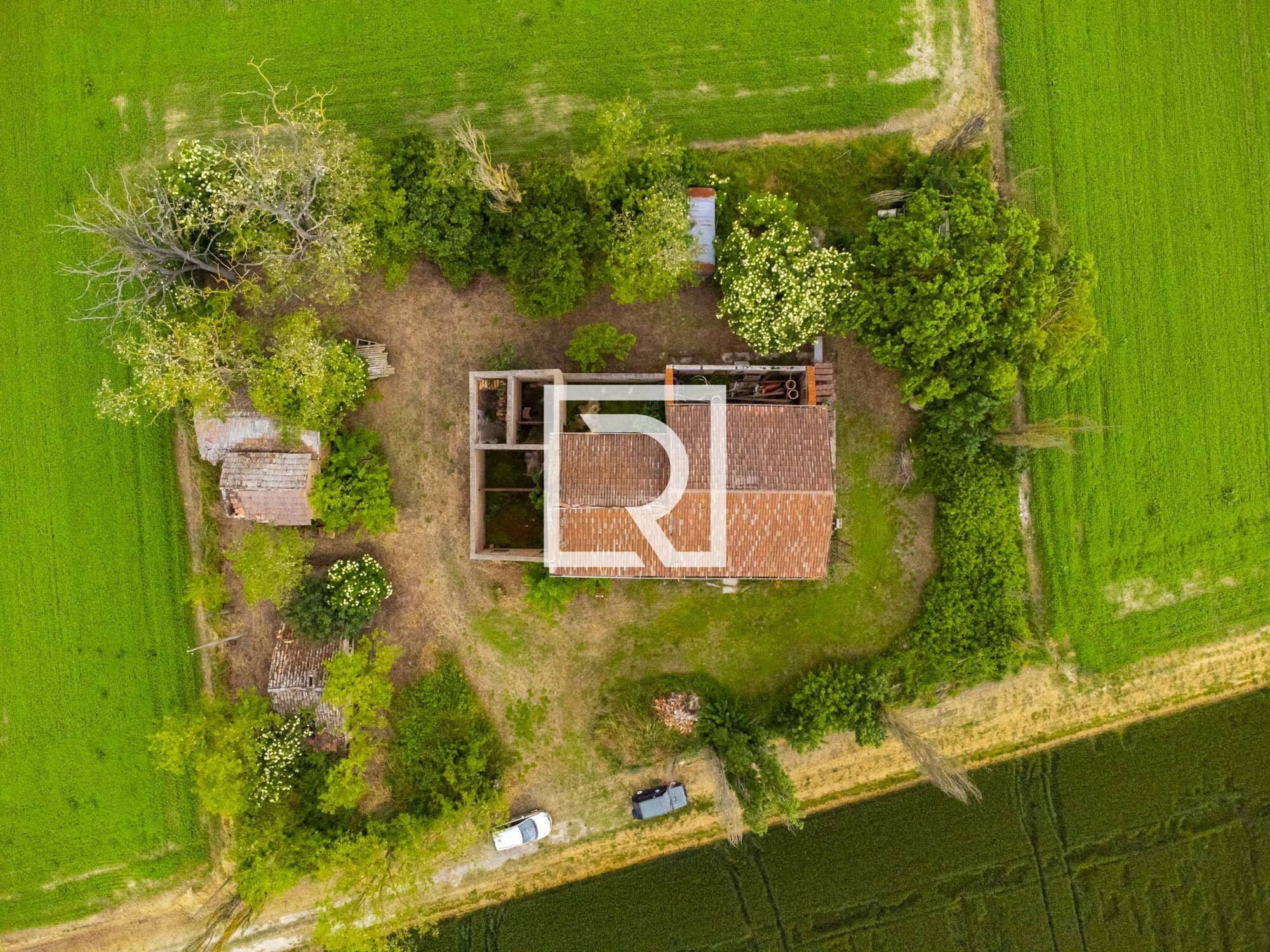 DJI_0678