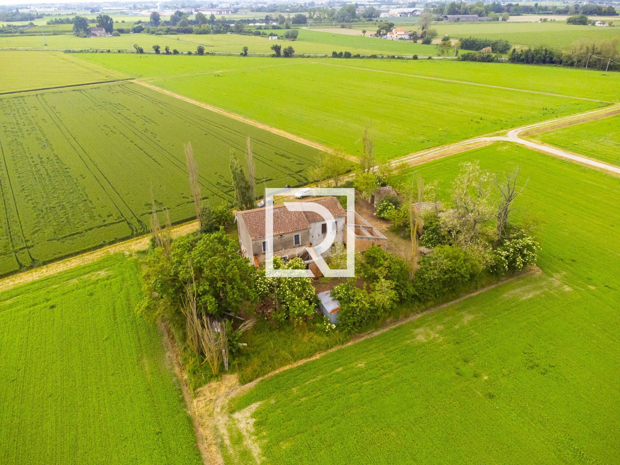 DJI_0681