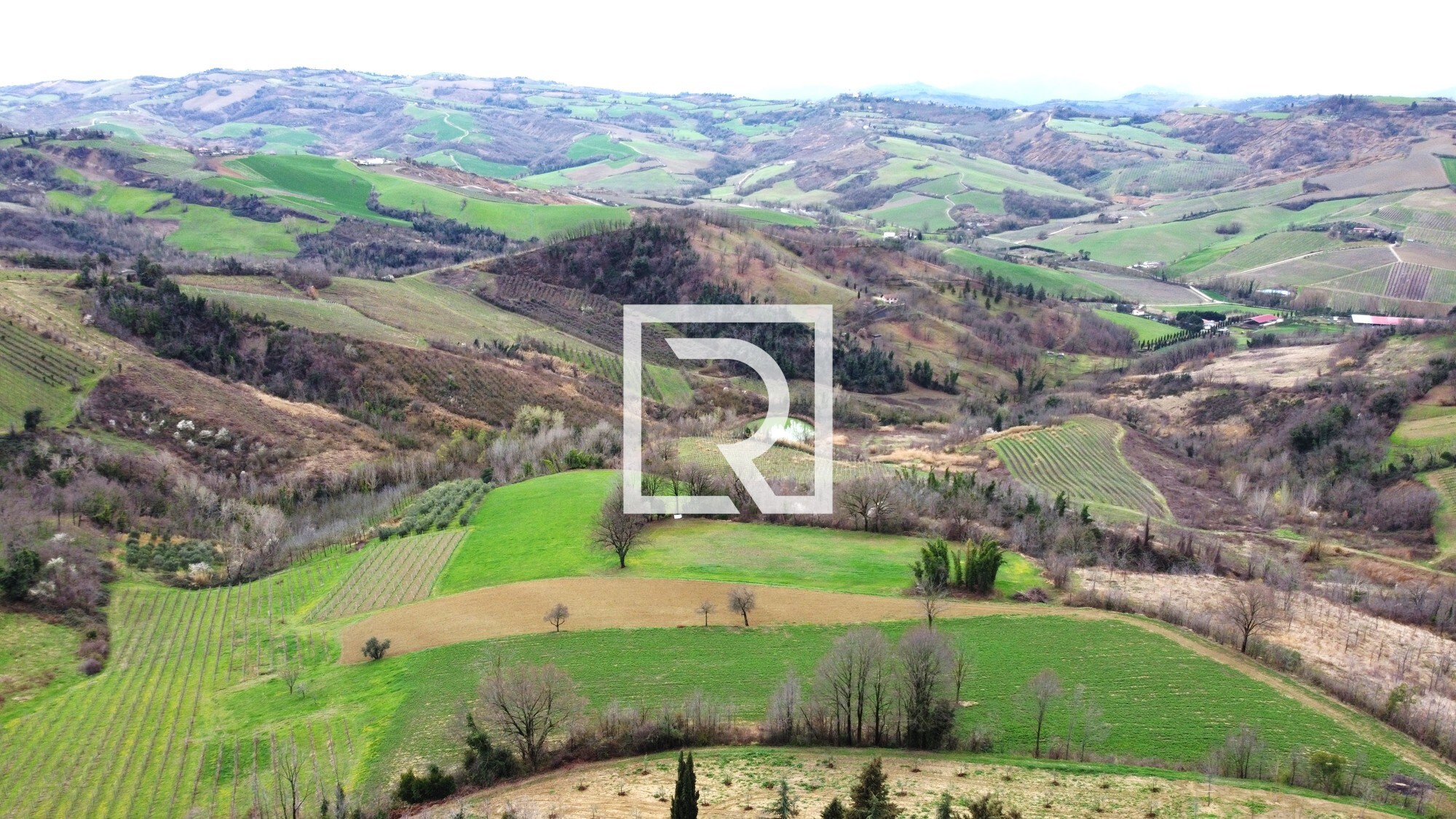 DJI_0766
