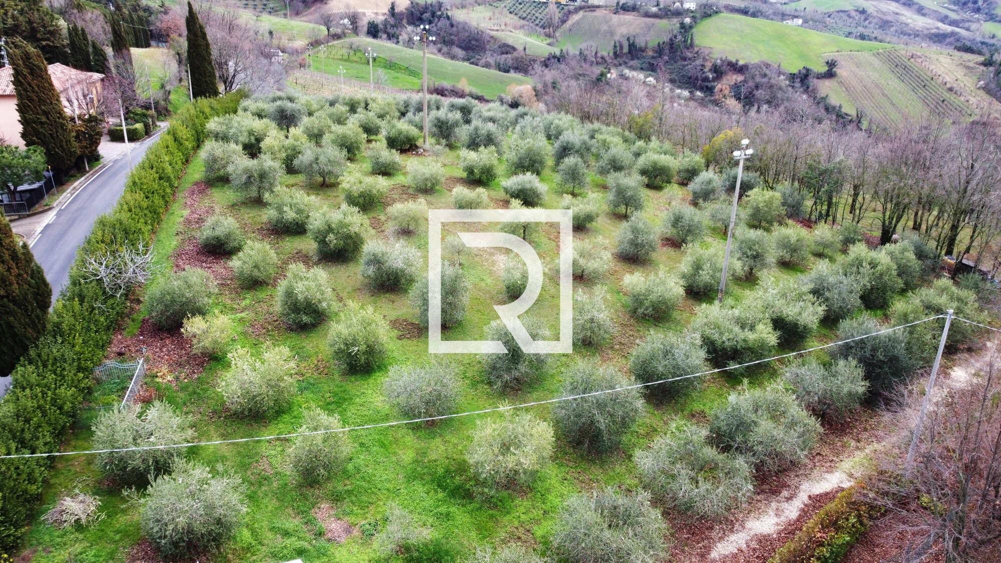 DJI_0763