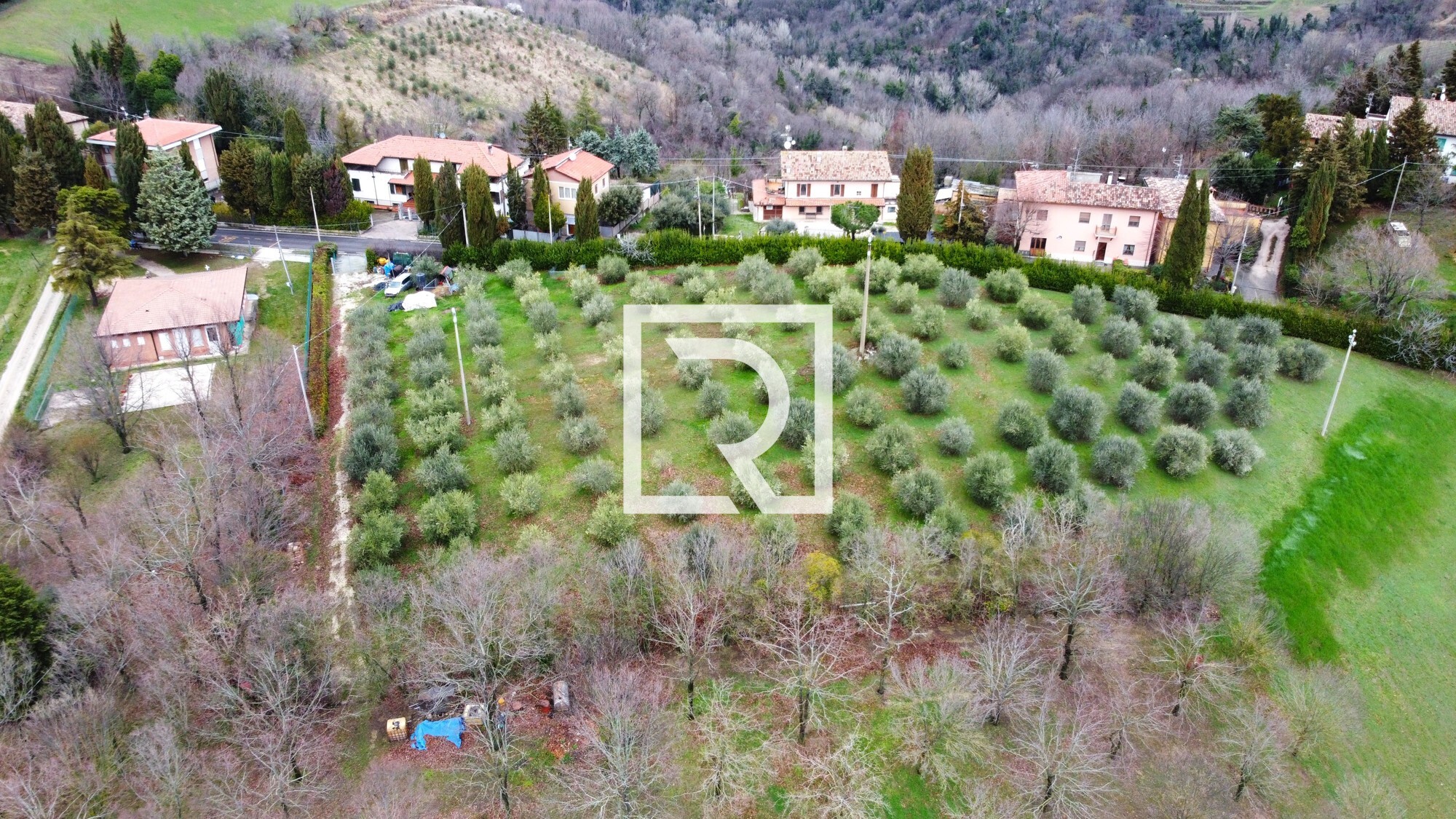 DJI_0770