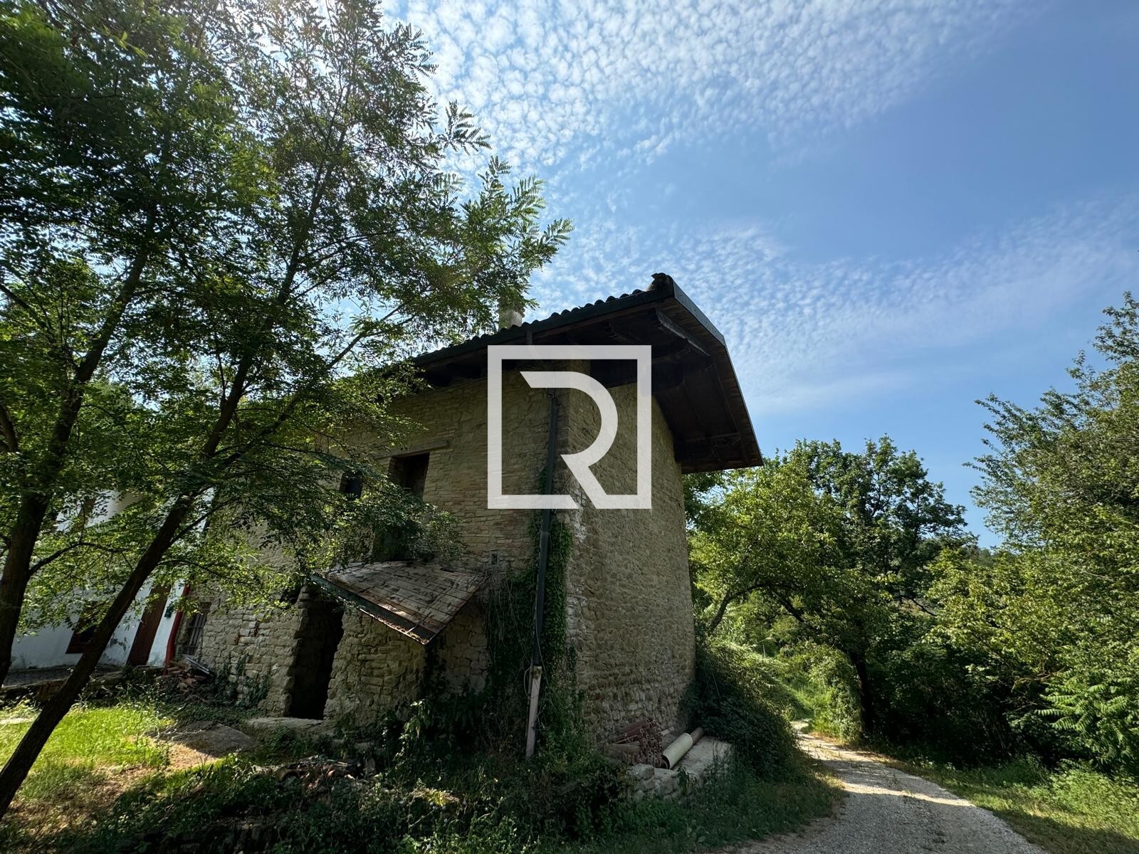 WhatsApp Image 2024-07-25 at 12.46.05 (2)