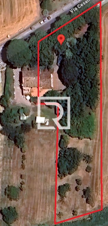 Screenshot 2024-08-05 172318