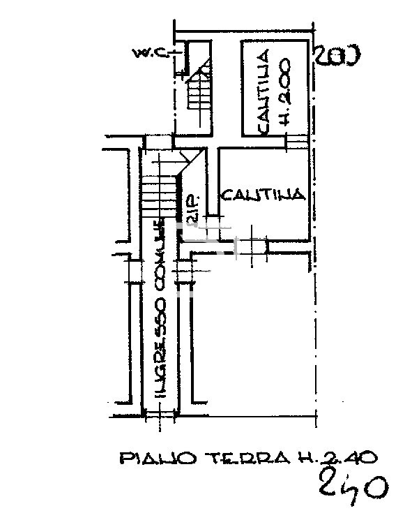 pln annuncio pt