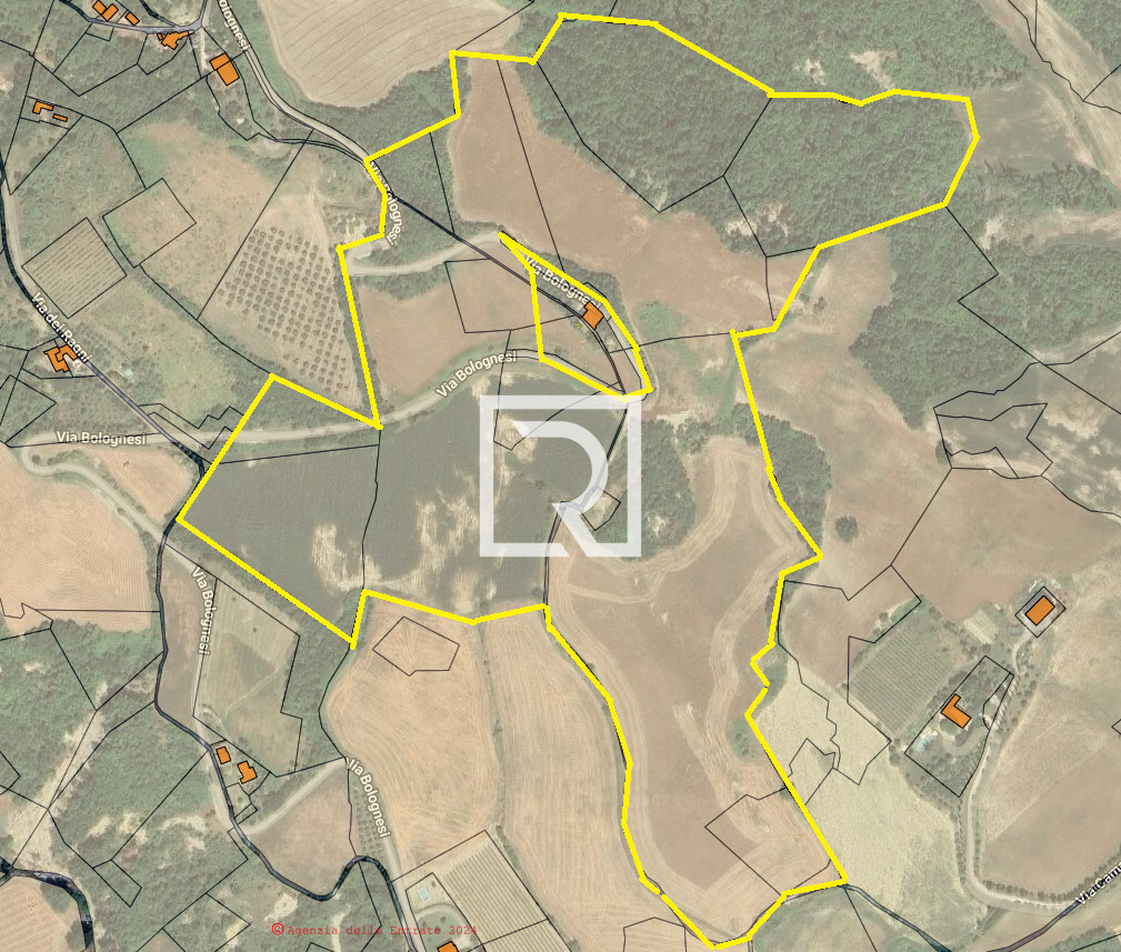 Immagine 2024-09-05 161744