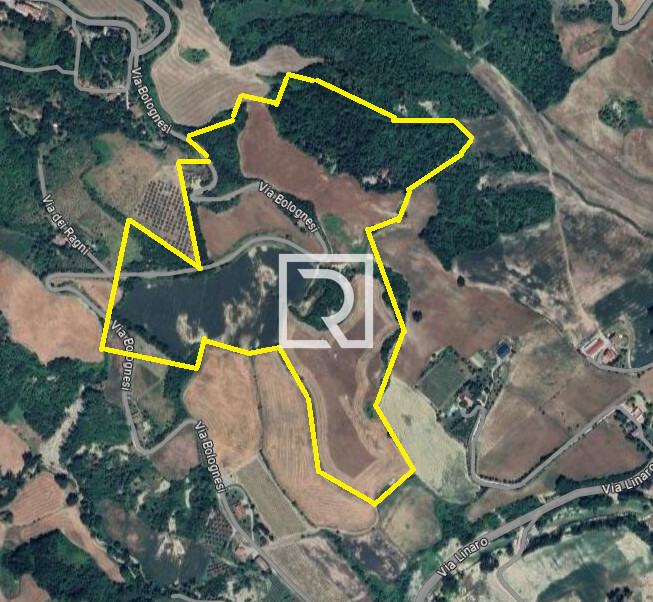 Immagine 2024-09-05 161405