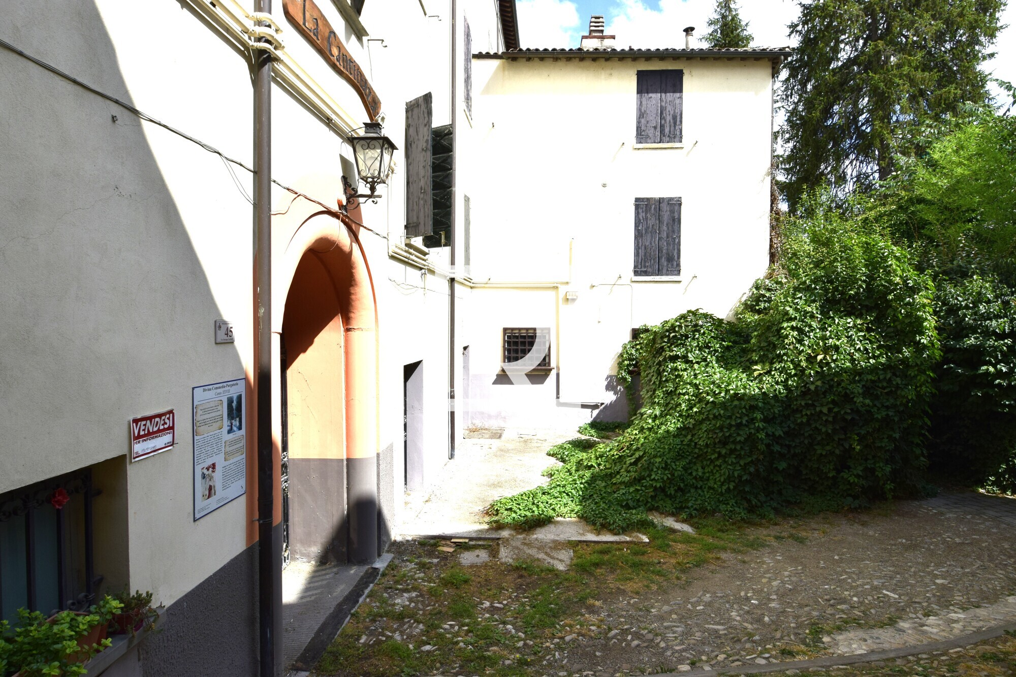 _DSC0060