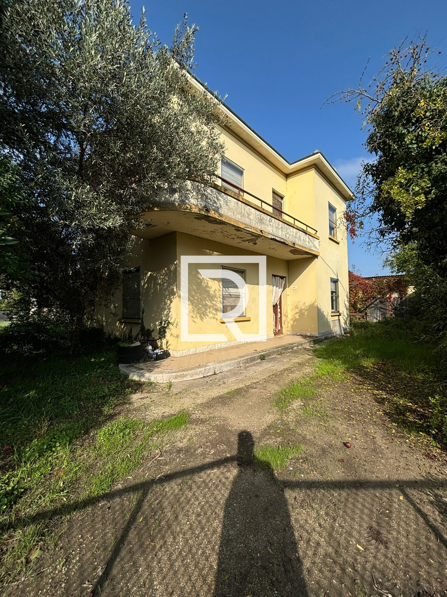 WhatsApp Image 2024-10-30 at 15.46.51 (2)