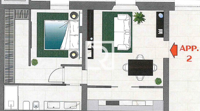 Immagine 2026-06-03 165713