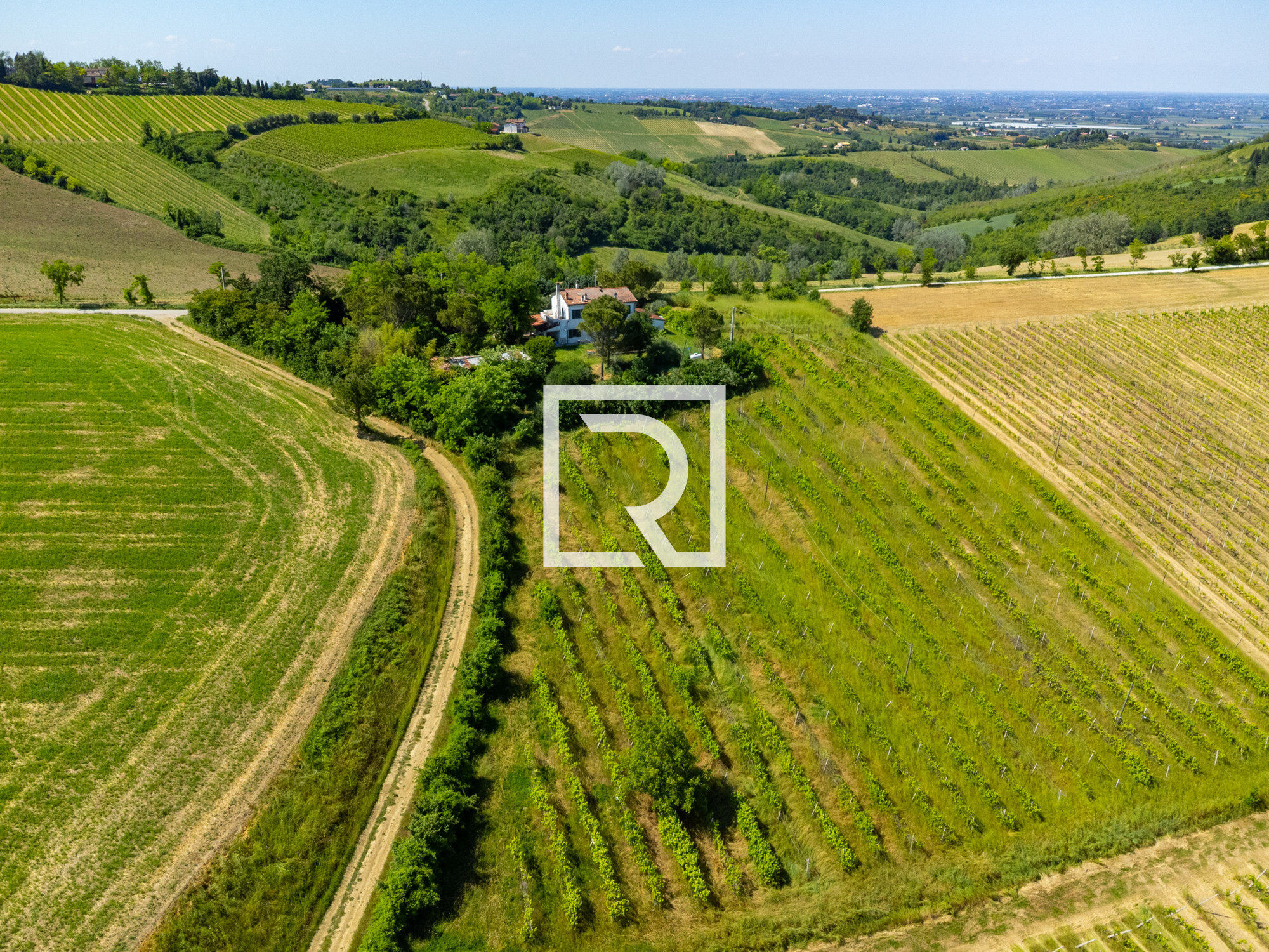 DJI_0999