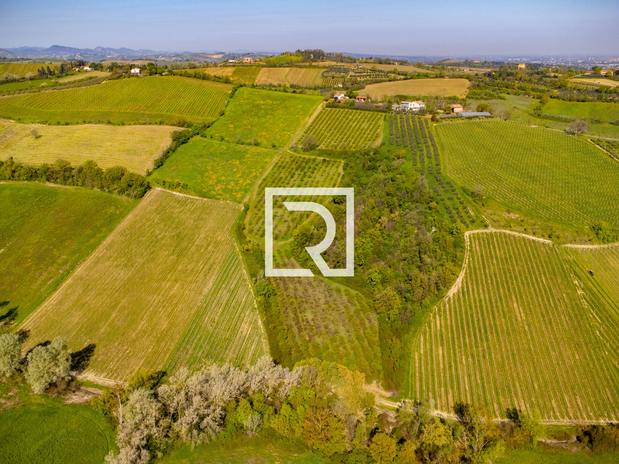 DJI_0775