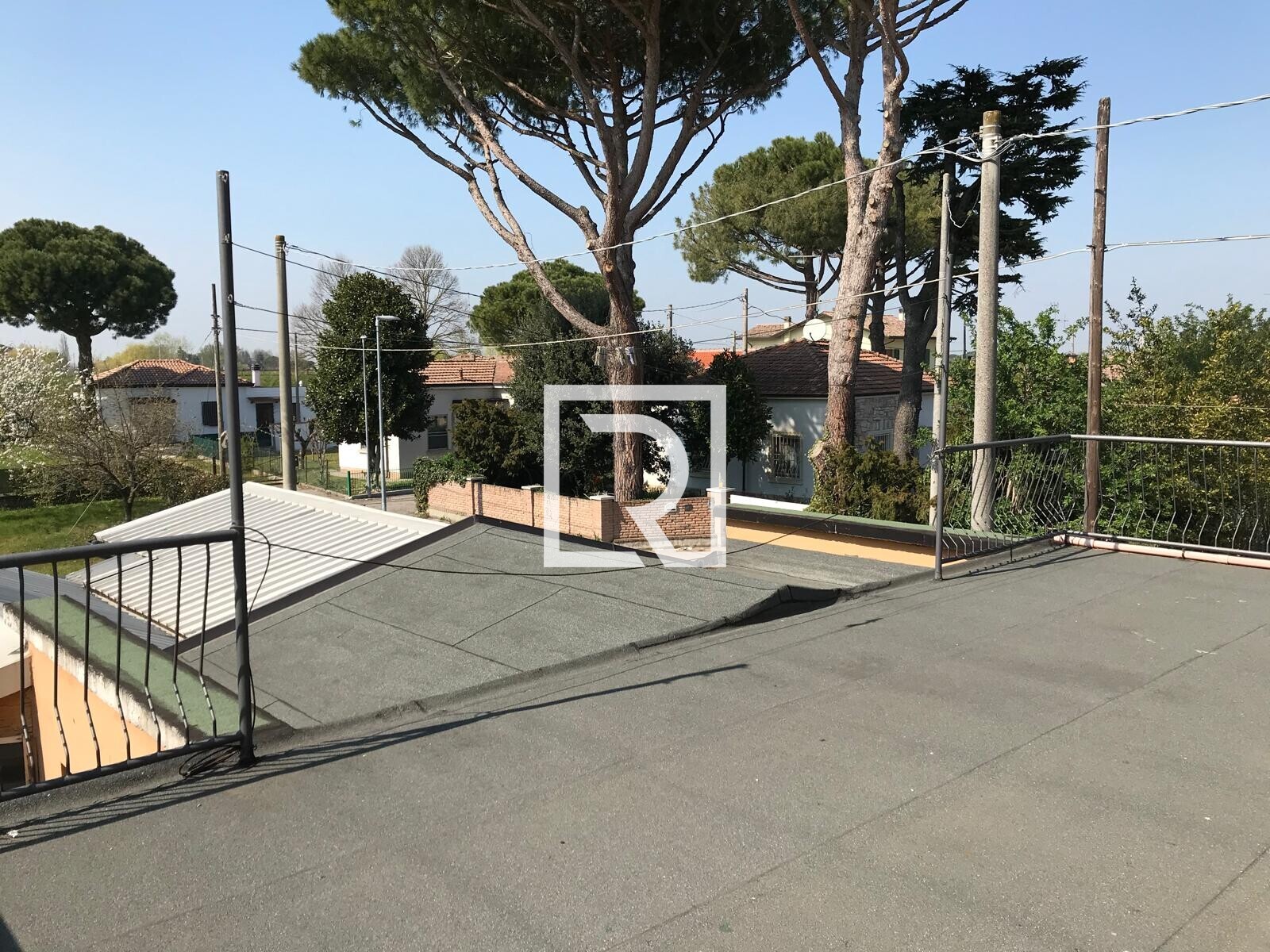 WhatsApp Image 2025-01-31 at 12.58.52 (11)