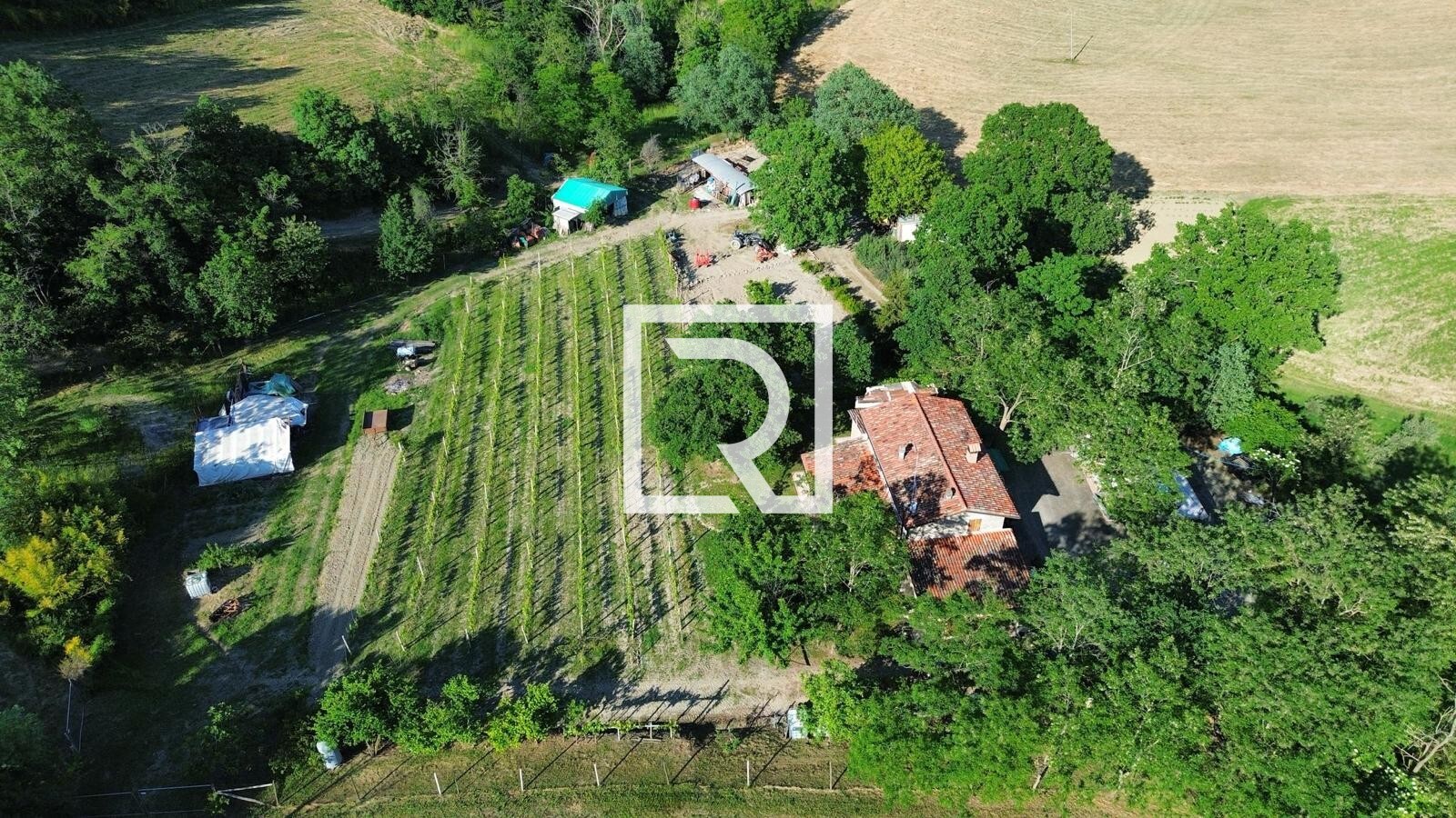 WhatsApp Image 2025-05-28 at 18.37.52