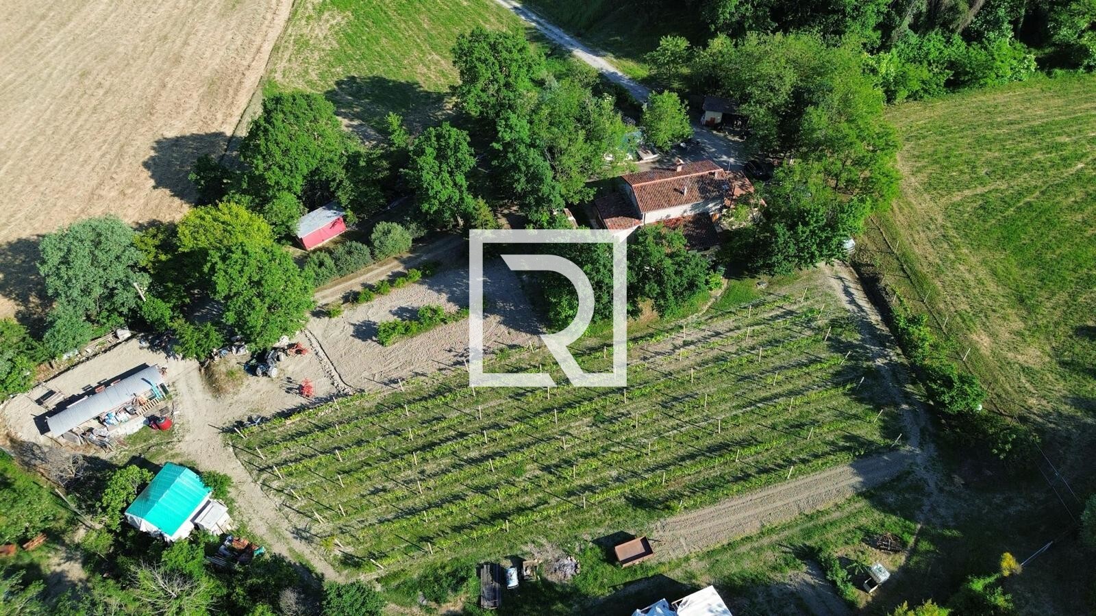 WhatsApp Image 2025-05-28 at 18.37.52 (2)