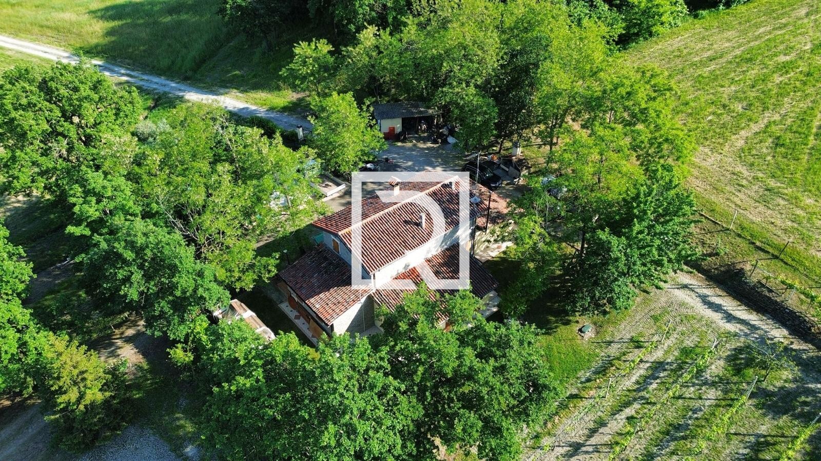 WhatsApp Image 2025-05-28 at 18.37.52 (1)