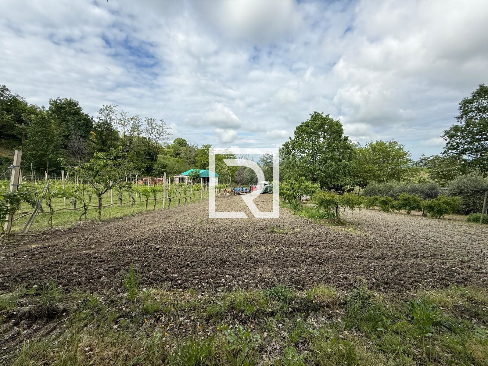 WhatsApp Image 2025-05-09 at 17.20.36 (4)